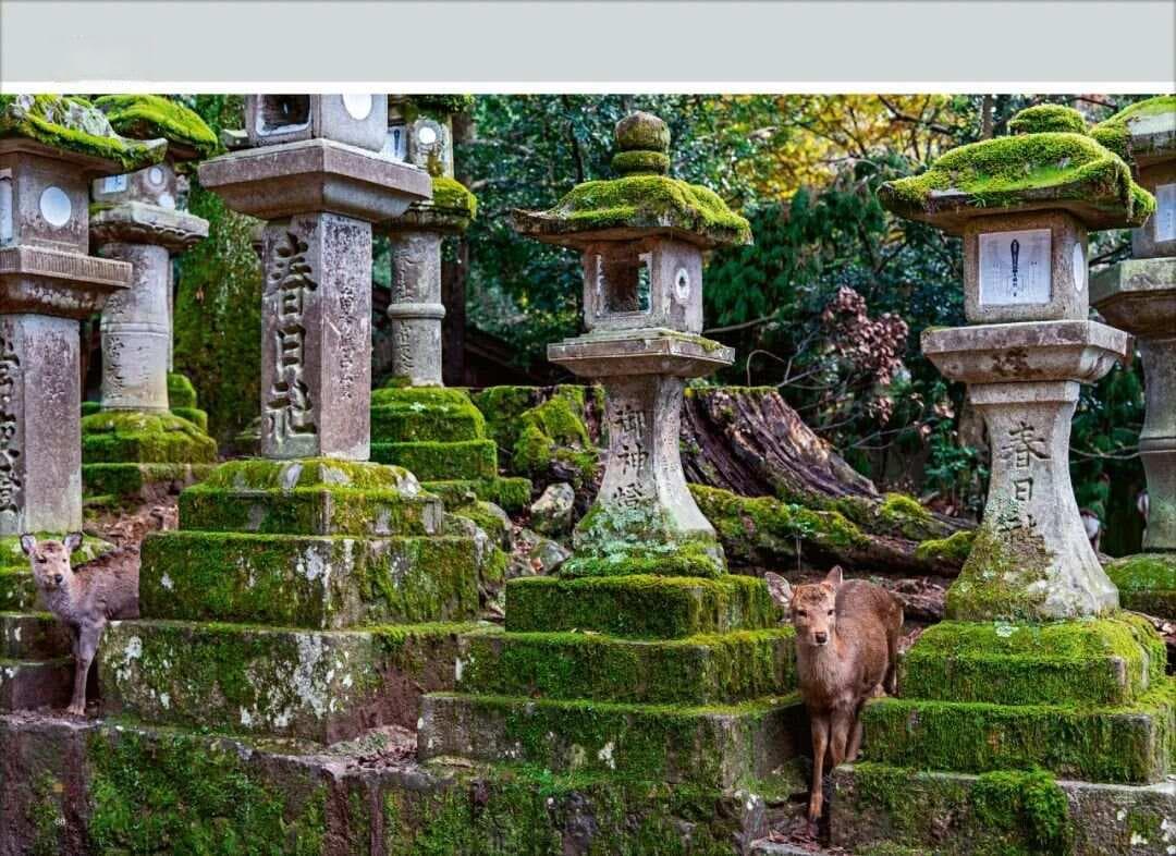 春日大社：自然、家族和神佛