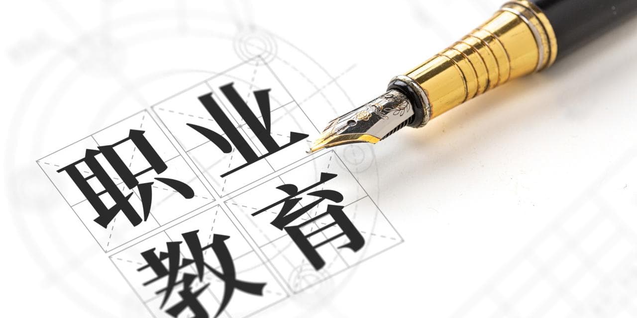 中国职业教育发展报告：建立职业教育与普通教育多样化连接通道
