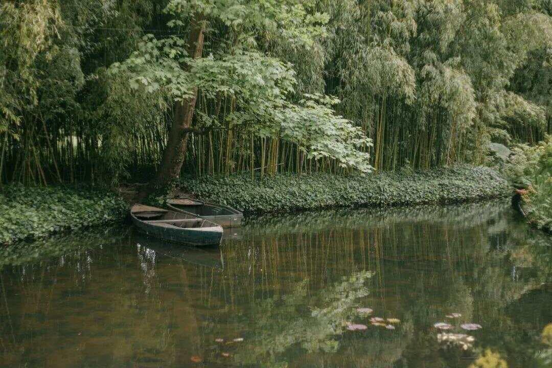 解读《单向度的人》：反思现代社会的困境与出路