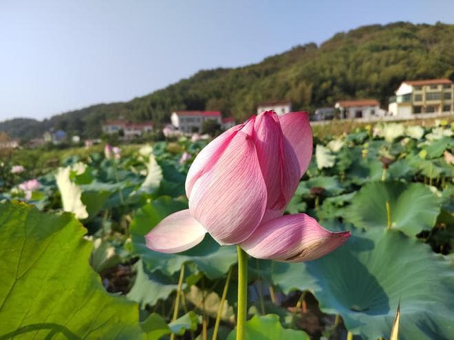 暗恋你的人，才会有如此用心的表现！