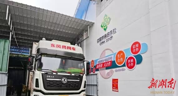 “包袱”变财富  资产变资本 衡阳县：盘活“三资”激活沉睡资源