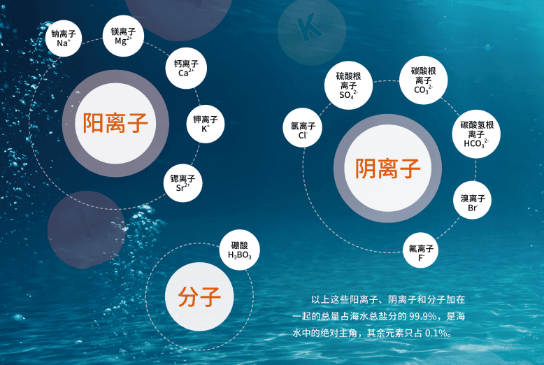 科普|探秘海洋元素宝库