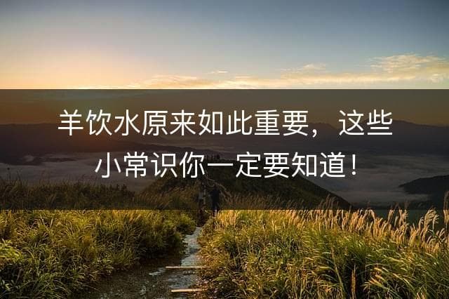 羊饮水原来如此重要，这些小常识你一定要知道！