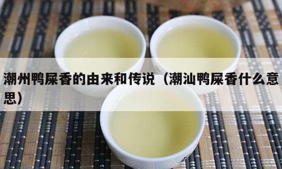 潮州鸭屎香的由来和传说