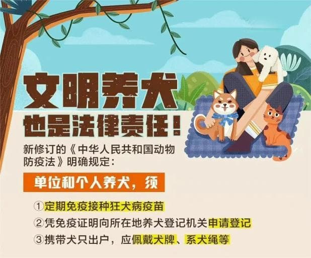 牵好“文明绳”，养犬“不掉链”！这些文明养犬知识请牢记！