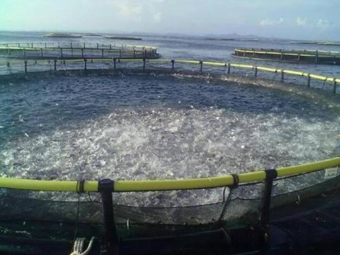 水产养殖废水处理及循环利用技术