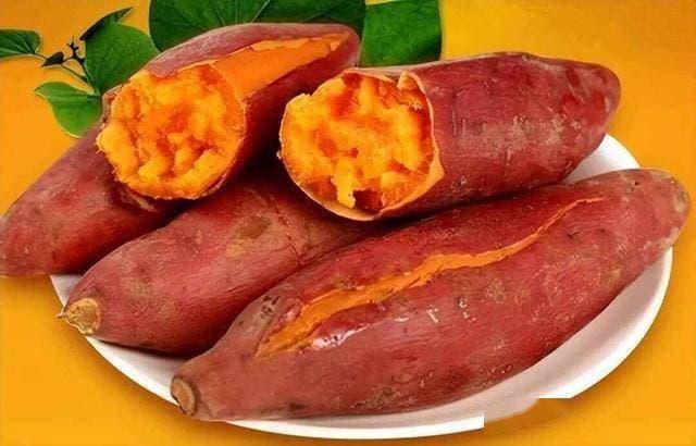 红薯立大功！新研究：65岁以上适量吃，可降低30%患肠胃疾病率！