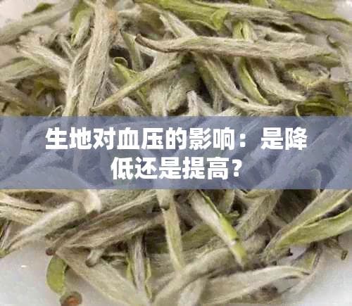 生地对血压的影响：是降低还是提高？