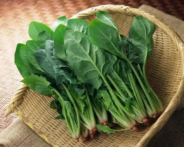 冬季养生秘籍：中老年人多吃这“碱性菜”，养肝明目又防贫血！