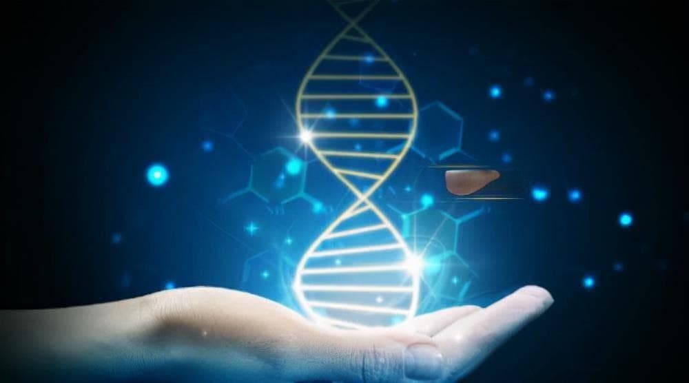 让DNA说话：通过基因信息追溯个人历史与家族渊源