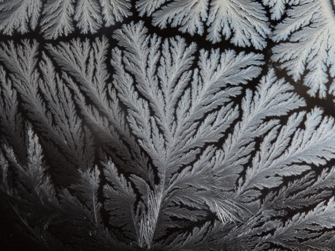 雪花之美的科学疑惑：为什么雪花的分枝像树？