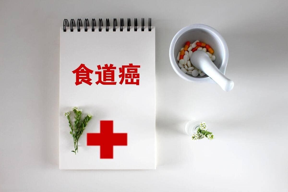 国家卫健委发布：食管癌胃癌筛查与早诊早治方案发布