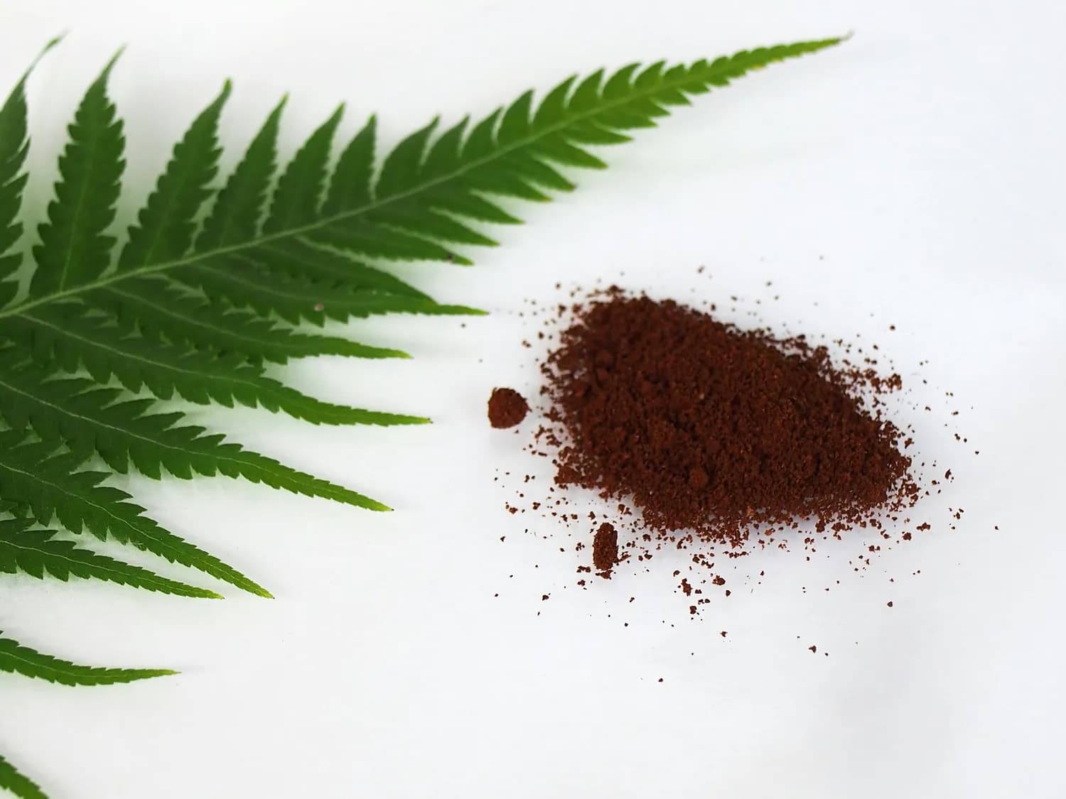 凉拌蕨根粉：最火的养生食谱，这样吃更健康