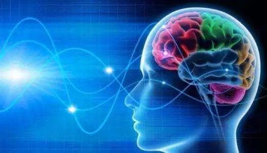 Brain Bee脑科学大赛：激发青少年探索大脑奥秘