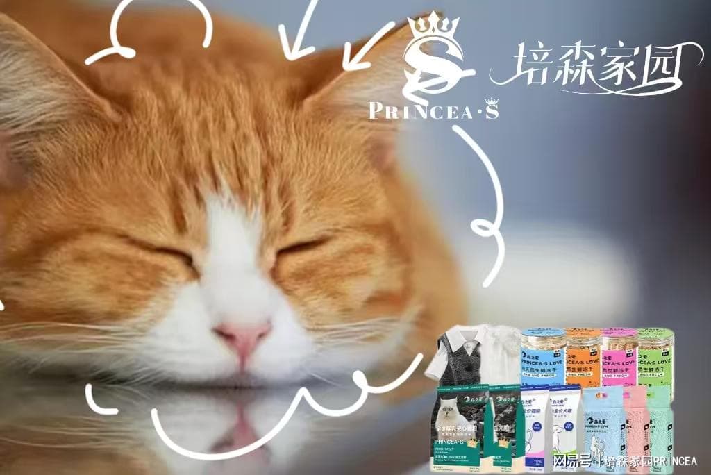 猫咪打喷嚏的六大原因及处理方法