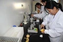 农药残留检测方法与技术详解