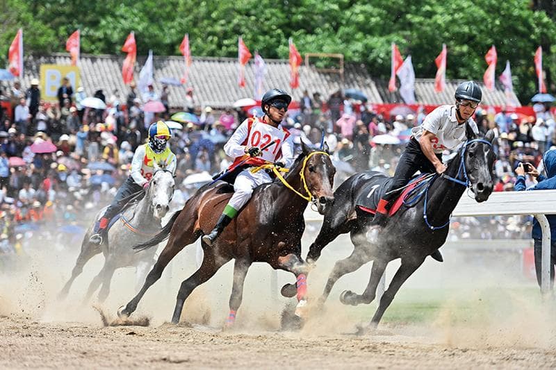 大理：文旅产业圈圈突破