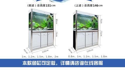 鱼缸过滤系统的演变历程：从简单过滤到现代生物膜过滤