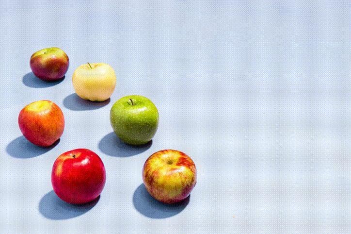好吃的苹果千篇一律，“丑陋”的苹果万里挑一，寻找被遗忘的苹果树