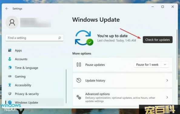 Win11游戏无法启动怎么办？为什么游戏不能运行？
