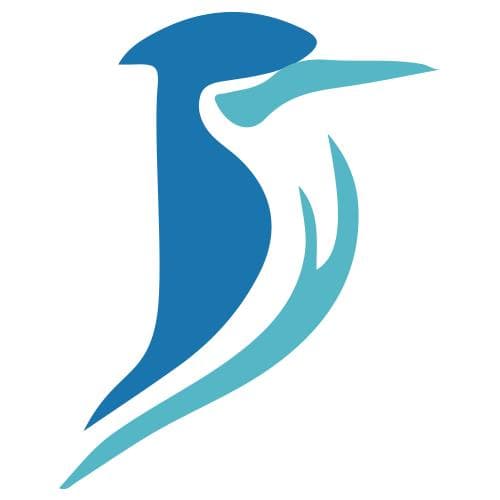 医师证持有者的职业选择：10个高薪方向全解析