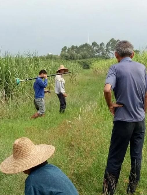 一亩地有多大？详解传统面积单位及其现代应用