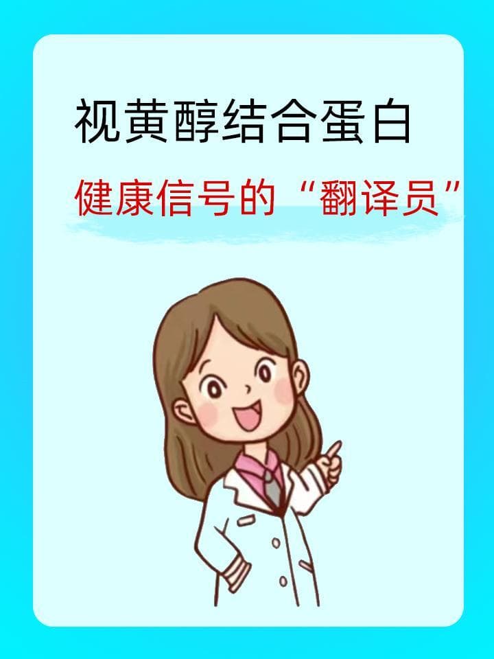 视黄醇结合蛋白：健康信号的“翻译员”