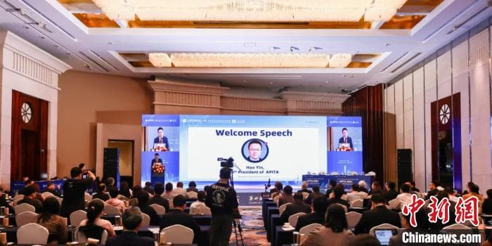 糖尿病治疗新突破：中国团队成功实现胰岛组织体外再造