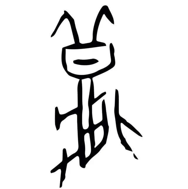 了不起的甲骨文丨秋是甲骨文里蹦跶的蛐蛐？立秋时节探寻"秋"字起源