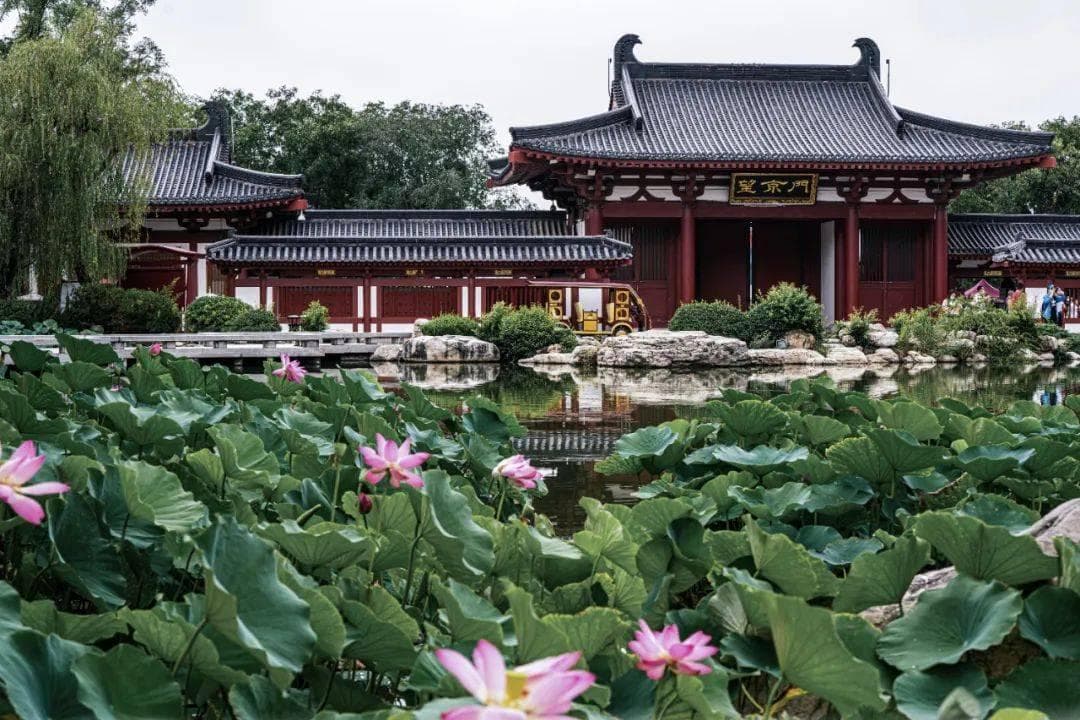 夏日赏莲—中国古代纹饰美学