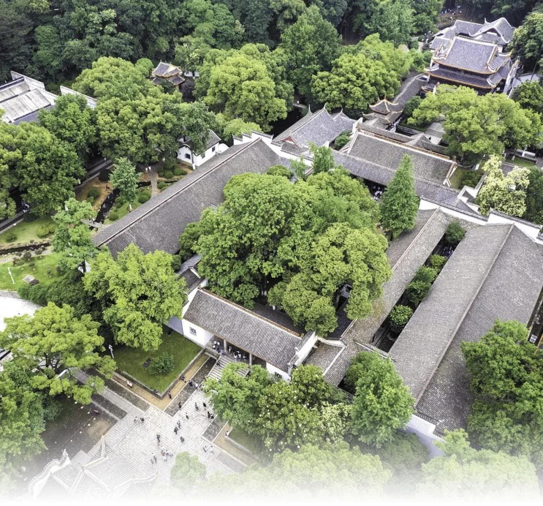 思政课还能走着上？岳麓书院还真有！