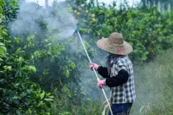 多效唑与矮壮素的区别，性质、用途和适用作物均不同