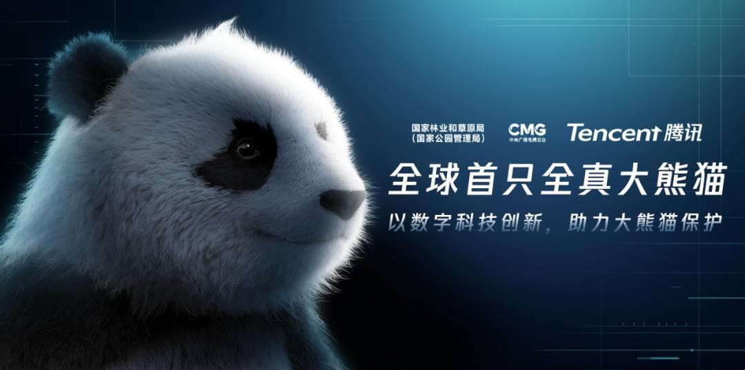 “人手一只”大熊猫，终于实现了！
