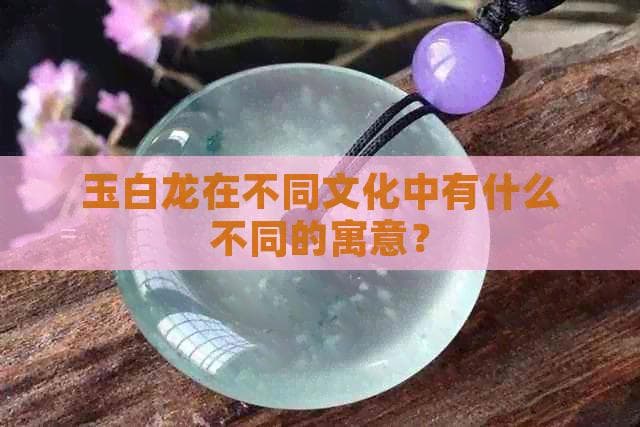 玉白龙在不同文化中有什么不同的寓意？