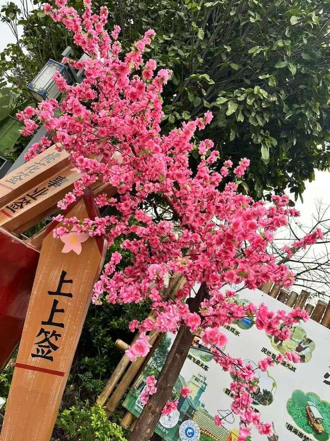 江门十大宝藏景点大赏：岭南风情的奇幻之旅