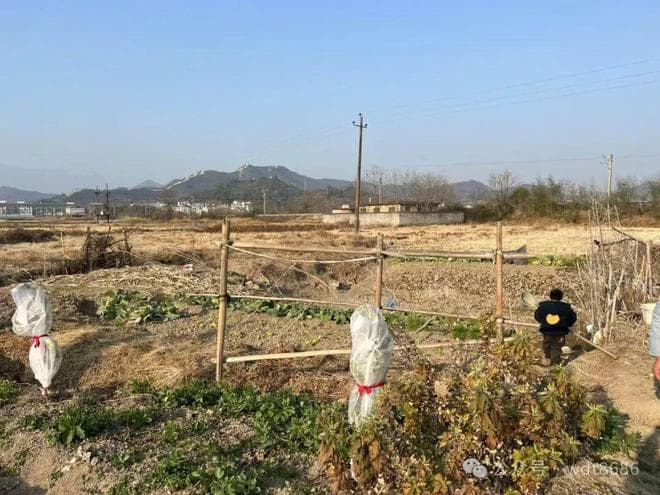 清明节文明祭祀指南：安全烧纸注意事项及文化传承建议