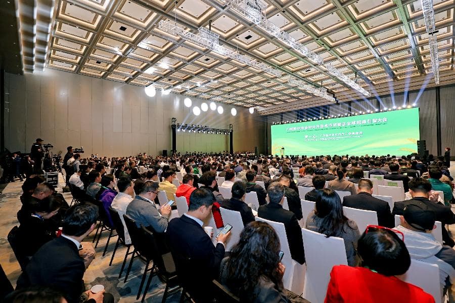签约近60亿元、8大项目动工，南沙首场招商引智大会成果丰硕