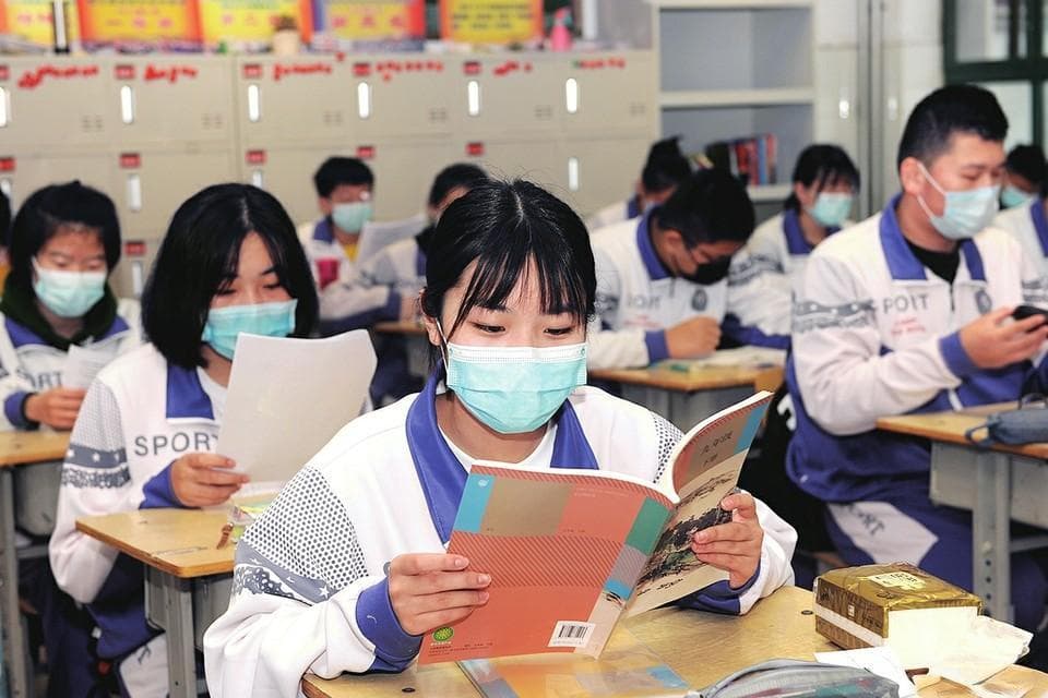 文科生怎么打好基础(帮助文科生夯实基础的方法)