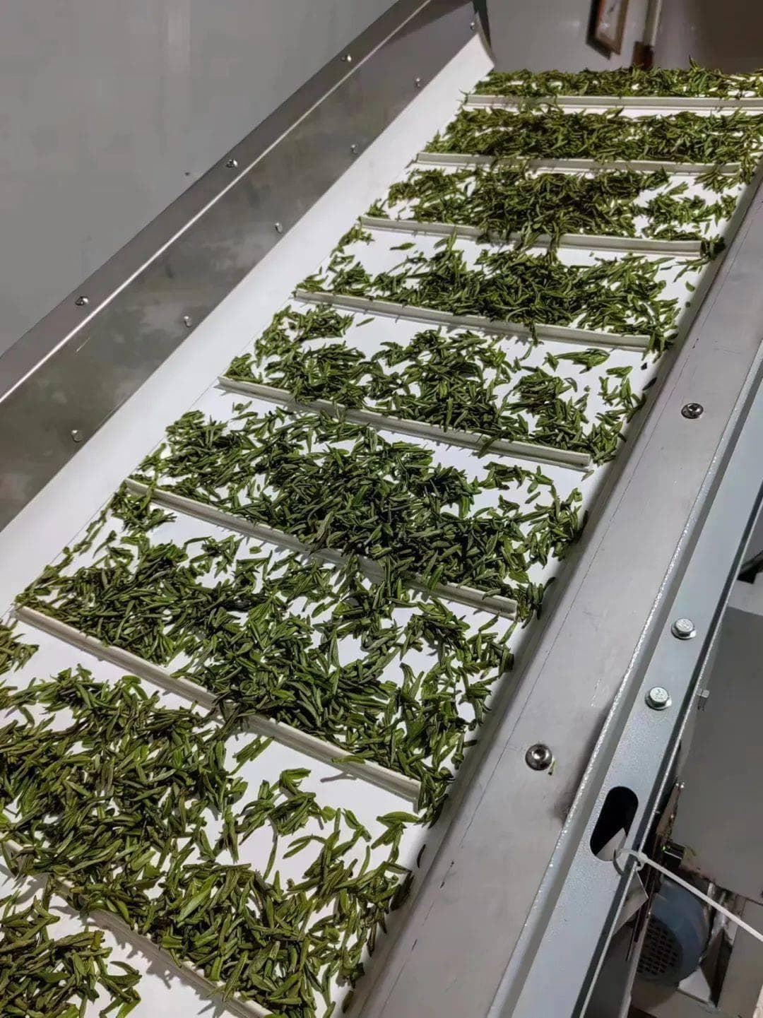 晚上喝茶会失眠？教你几个喝茶不失眠的小技巧