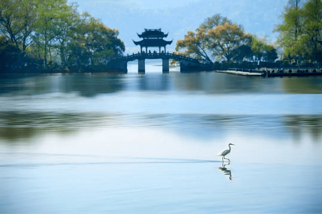 感受足球激情，也赏江南春日！杭州文旅推荐了这6条路线！