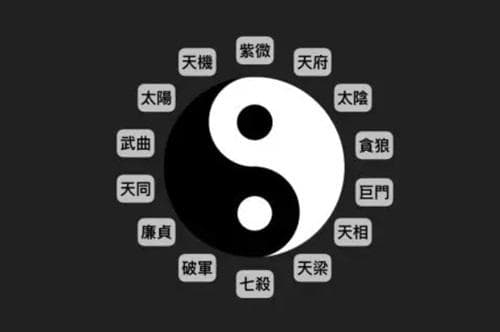 紫微天相入十二宫吉凶解释 紫薇天相入命
