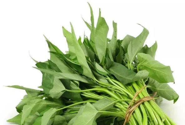 青菜大百科：从营养价值到食用方法的全方位解析