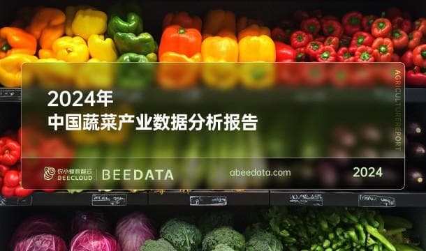 2024年中国蔬菜产业数据分析简报