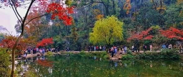 岳麓山枫红盛景，长沙冬日童话之旅