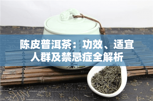 陈皮普洱茶：功效、适宜人群及禁忌症全解析