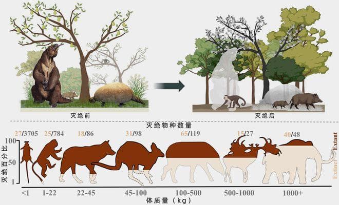 越来越多证据表明，人类才是大型动物灭绝的主要原因