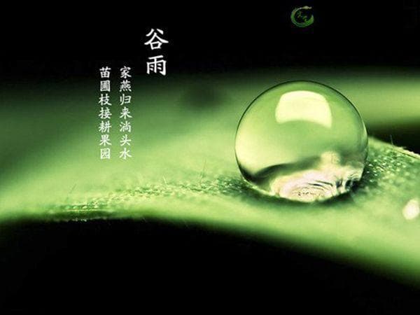 谷雨节气：文化内涵与养生智慧