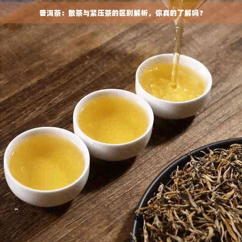 普洱茶：散茶与紧压茶的区别解析，你真的了解吗？