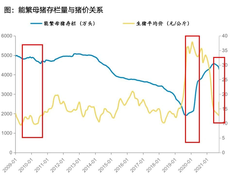影响未来生猪价格的因素及预测猪价的方法