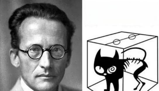 解读“薛定谔的猫”，它是整个物理学界的“灾难”